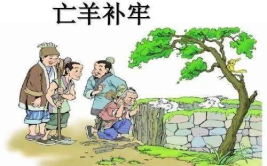 亡羊补牢寓言故事,亡羊补牢的故事启示