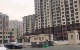 丽新嘉园,丽新嘉园安置房项目解析”