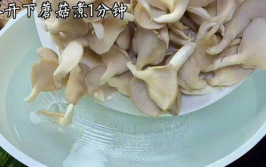 蘑菇怎么做最好吃,探索蘑菇烹饪的无限可能