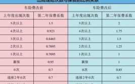 车险排名前十大公司,十大公司排名深度剖析
