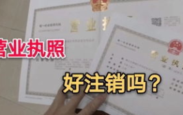 注销营业执照需要多少钱,了解流程与费用明细