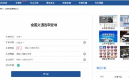 车不在自己名下怎么查违章,非车主如何轻松查询车辆违章记录