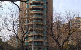 上海绿城二手房价格,市场走势与投资分析概览
