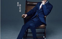 乔任梁演过的电视剧,从青春偶像到演技派演员的蜕变之路
