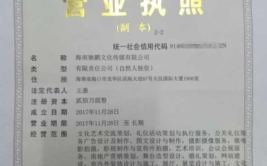 营业执照查询,一窥企业真实面貌的便捷途径