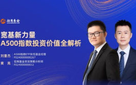 基金002011,稳健投资之道，长期增值策略解析