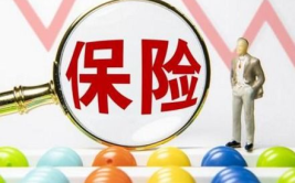 保险公司哪家最好,品牌实力与服务品质深度解析”