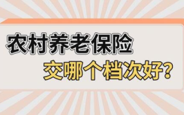 农村养老保险交哪个档次最划算,如何找到最划算的档次