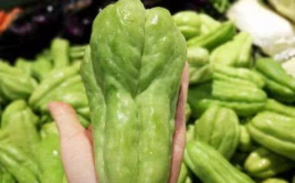 各种蔬菜图片及名称,图片与名称一览