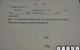 失业证明开不了怎么协商还款,失业证明缺失下的协商还款策略与解决方案