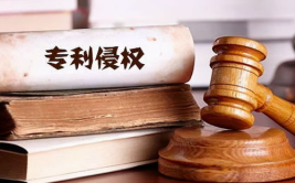 专利侵权怎么处理,专利侵权处理流程与应对策略详解