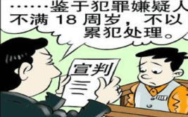 累犯可以减刑吗,累犯减刑条件与实施概述