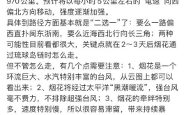 娱乐吃瓜君七七是剧本吗,揭秘剧本背后的真实故事