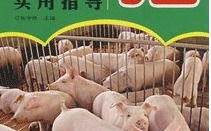 养猪技术大全,科学养殖指南与实用策略